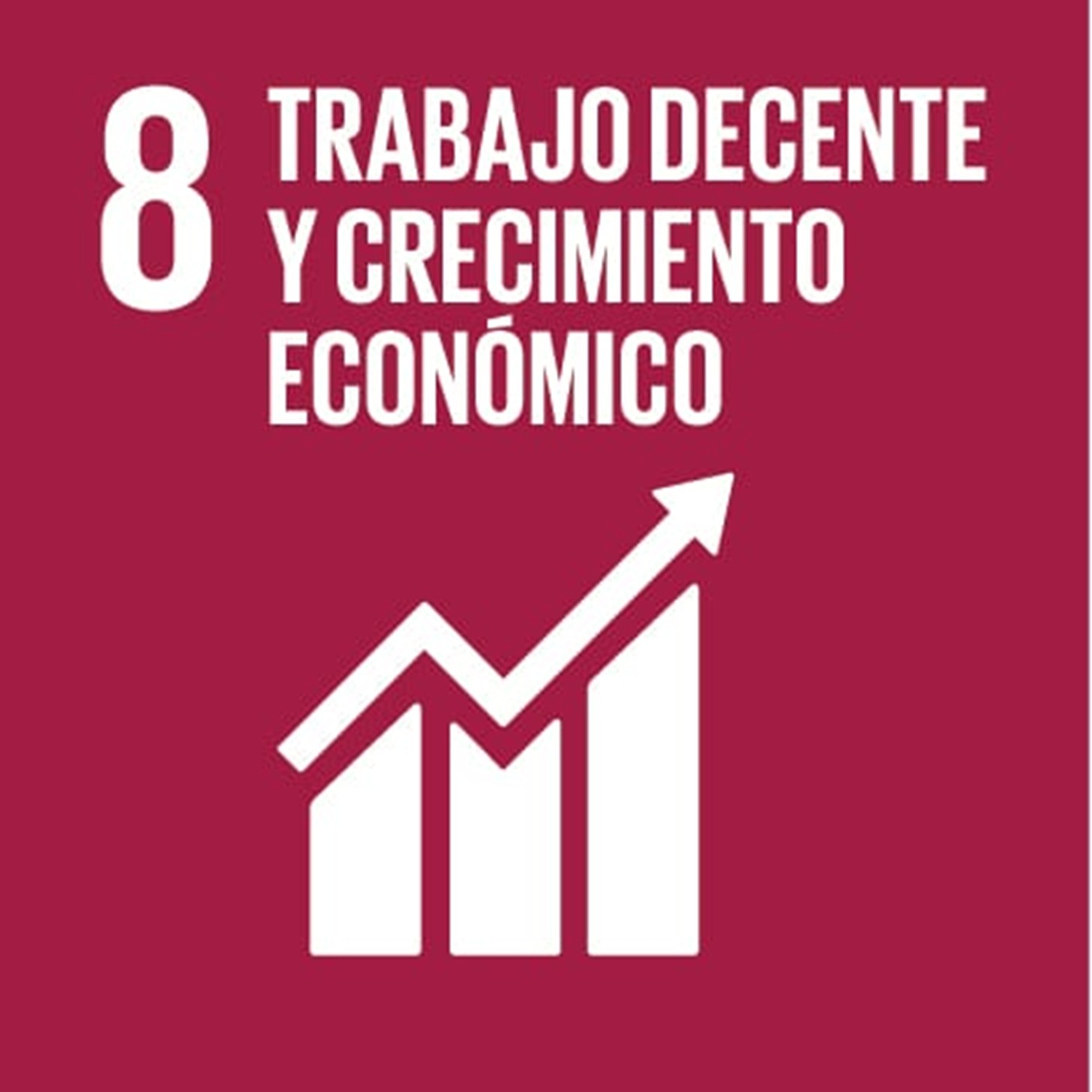 ODS 8: TRABAJO DECENTE Y CRECIMIENTO ECONÓMICO